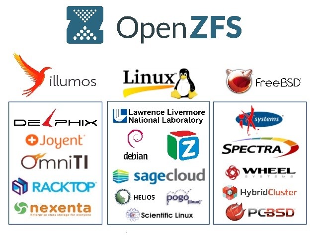 openzfs vs zfs on linux