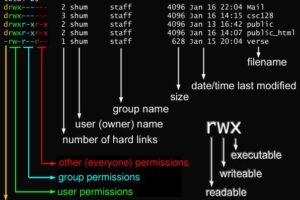 chmod-linux-example-1